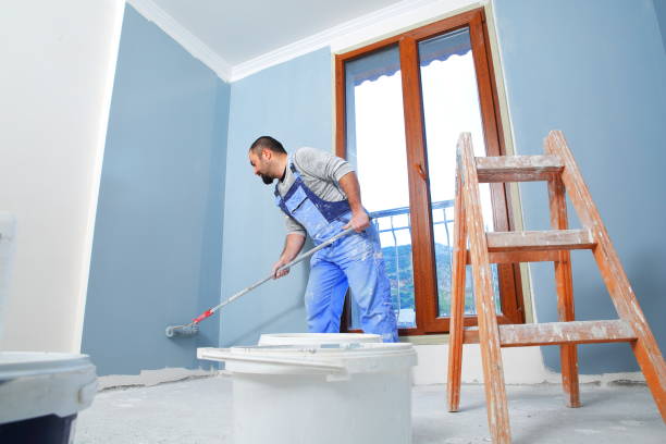  Schererville, IN Mold Removal Pros