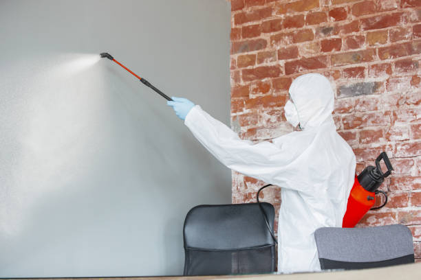 Best Crawl Space Mold Remediation  in Schererville, IN