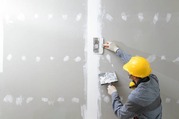 Best Residential Mold Inspection & Testing  in Schererville, IN