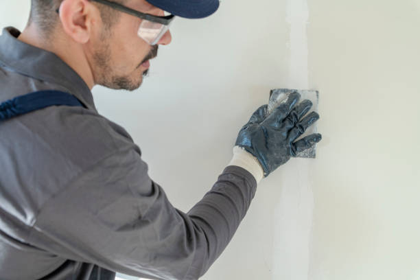 Best Mold Odor Removal Services  in Schererville, IN
