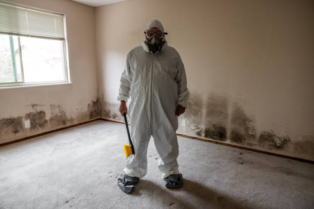 Best Real Estate Mold Inspection  in Schererville, IN