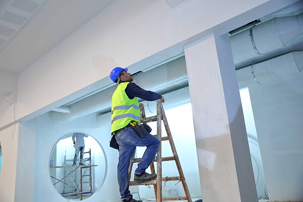 Best Biohazard Mold Removal  in Schererville, IN