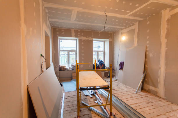 Best Attic Mold Removal  in Schererville, IN